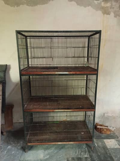 birds cage