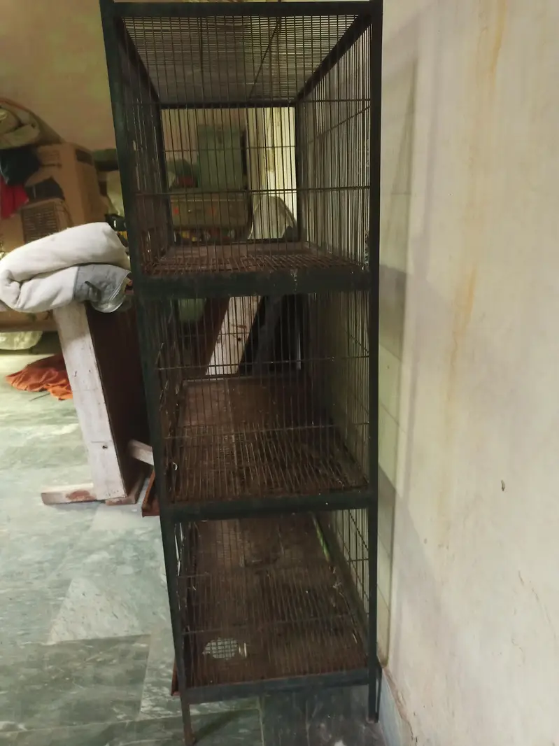 birds cage — photo 2
