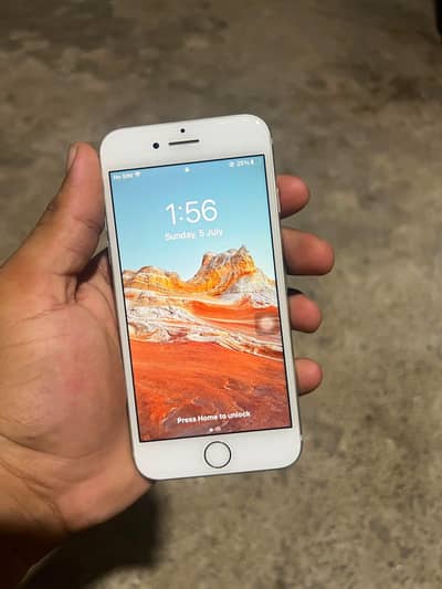 Apple iPhone 7