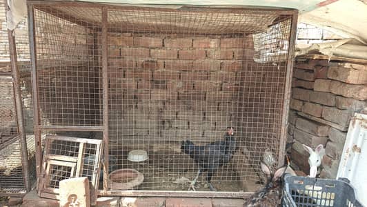 cage for sale call no#03035774724