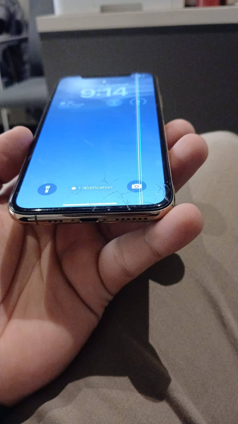 Apple iPhone X 4