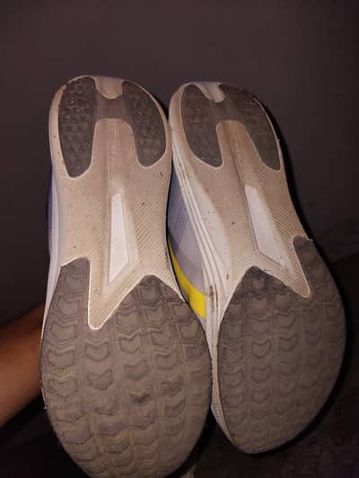 Borjan shoes
