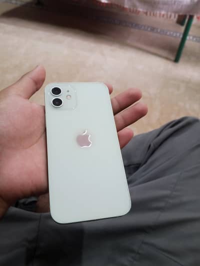 Apple iPhone 12