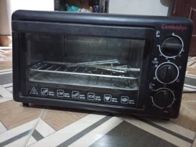 Electric oven