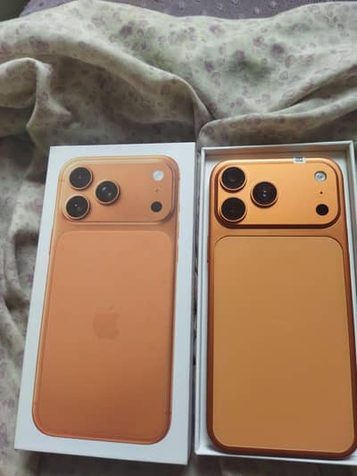 Apple iPhone 17 Pro Max fist cope