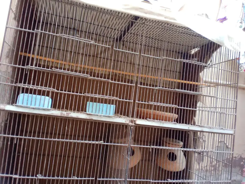 1.5*1.5 iron cage urgent for sale — photo 2