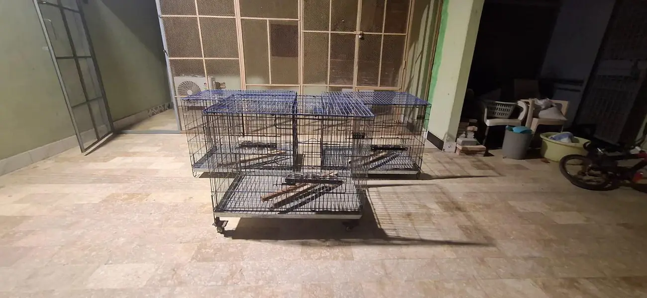 Big Parrot Cage | Suitable for Lori, Alexandrine & Other Large Parrots
