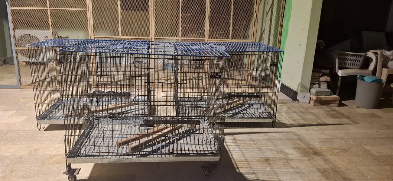 Big Parrot Cage | Suitable for Lori, Alexandrine & Other Large Parrots — photo 2