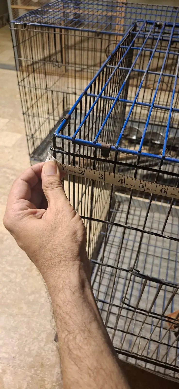 Big Parrot Cage | Suitable for Lori, Alexandrine & Other Large Parrots — photo 3