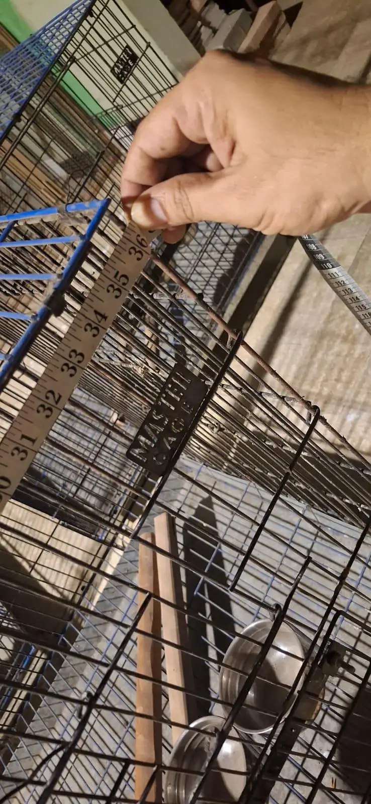 Big Parrot Cage | Suitable for Lori, Alexandrine & Other Large Parrots — photo 4