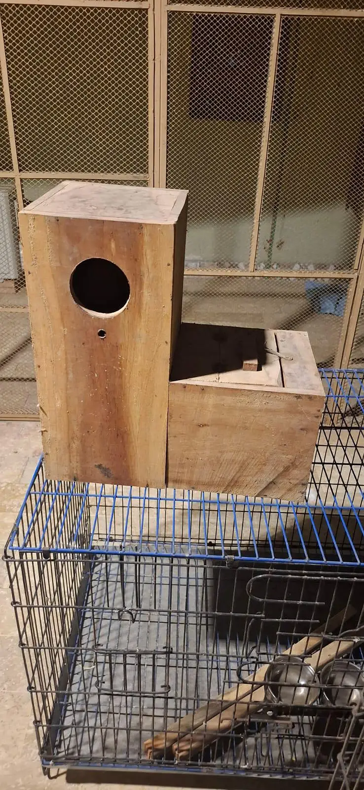 Big Parrot Cage | Suitable for Lori, Alexandrine & Other Large Parrots — photo 5