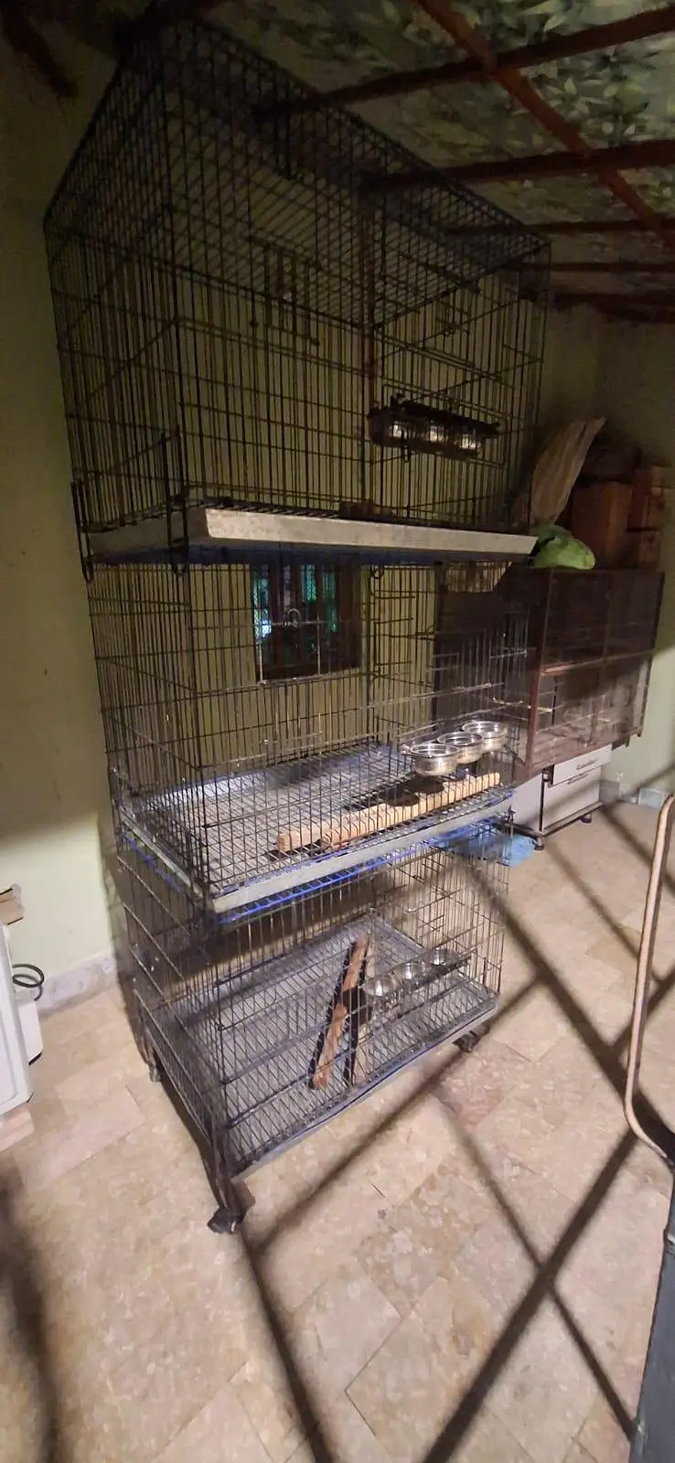 Big Parrot Cage | Suitable for Lori, Alexandrine & Other Large Parrots — photo 6
