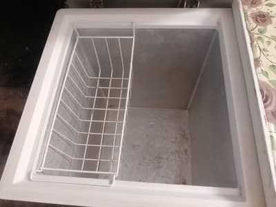 Double door D freezer for sale