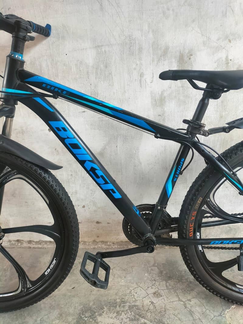 Bicycle 3