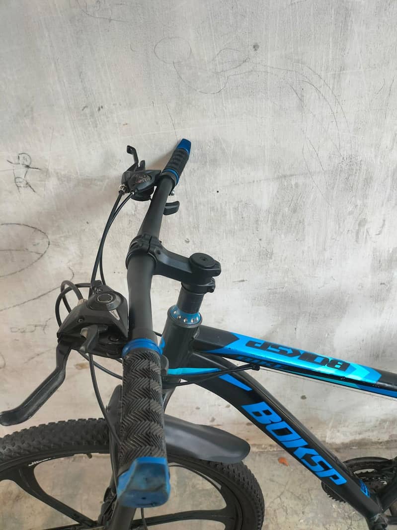 Bicycle 10