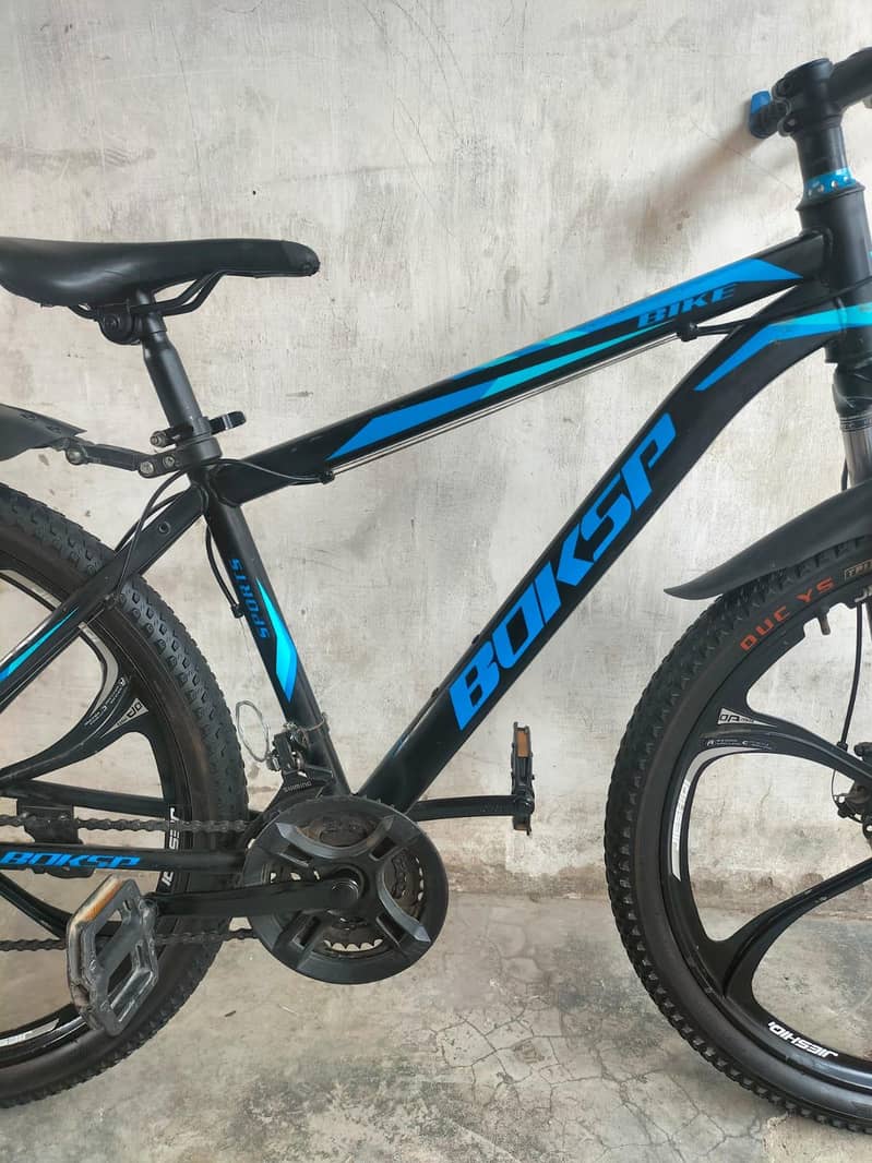 Bicycle 11