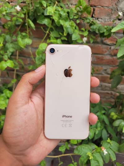 iPhone 8 (128GB)
