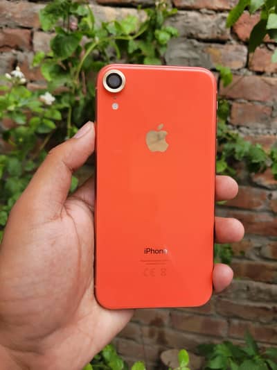 iPhone XR (64GB)