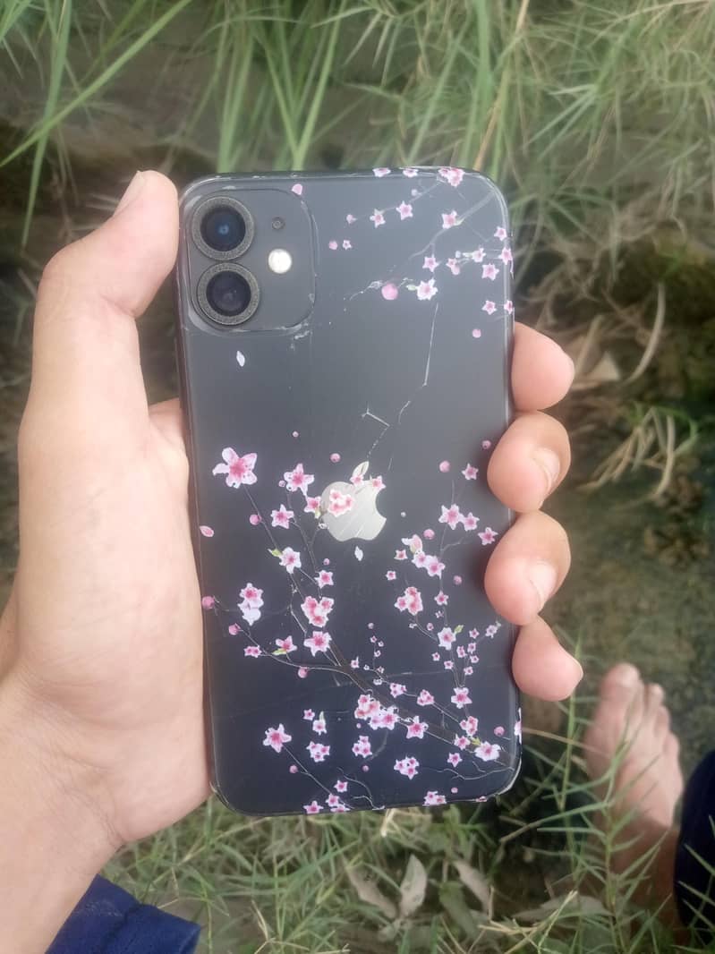 Apple iPhone 11 0
