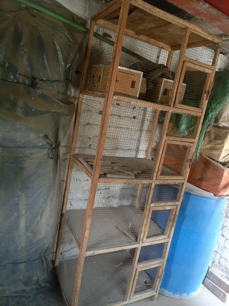 birds cage — photo 3