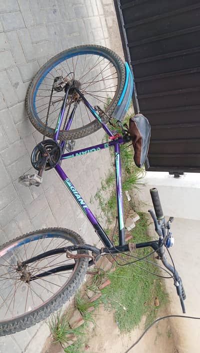 Gear Bicycle
