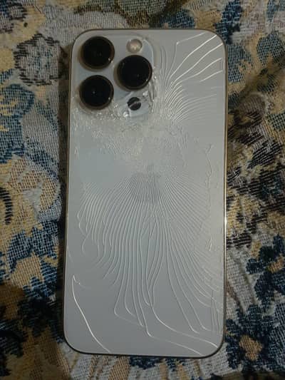 Apple iPhone 13 Pro