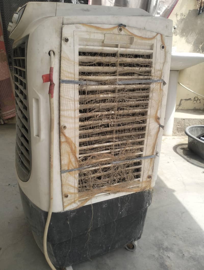 12 volt Cooler 2