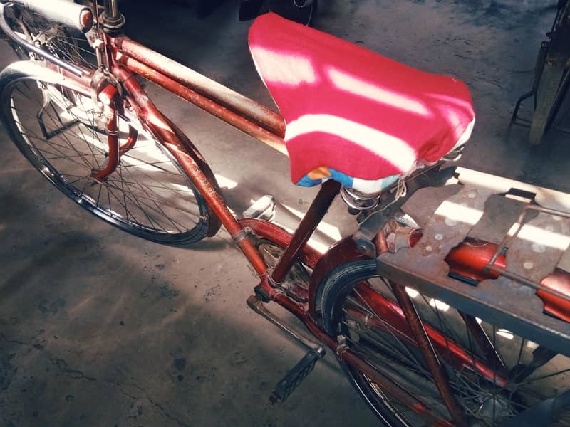 Shorab Cycle 5