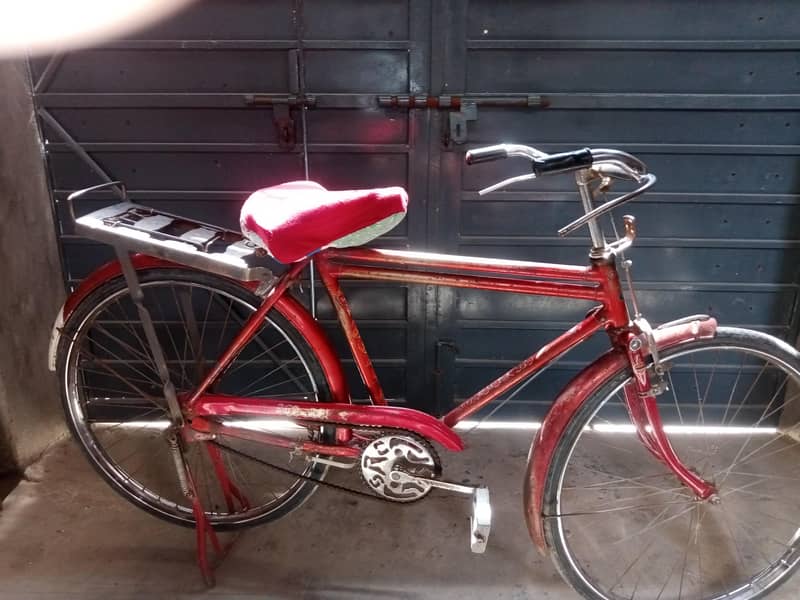 Shorab Cycle 6