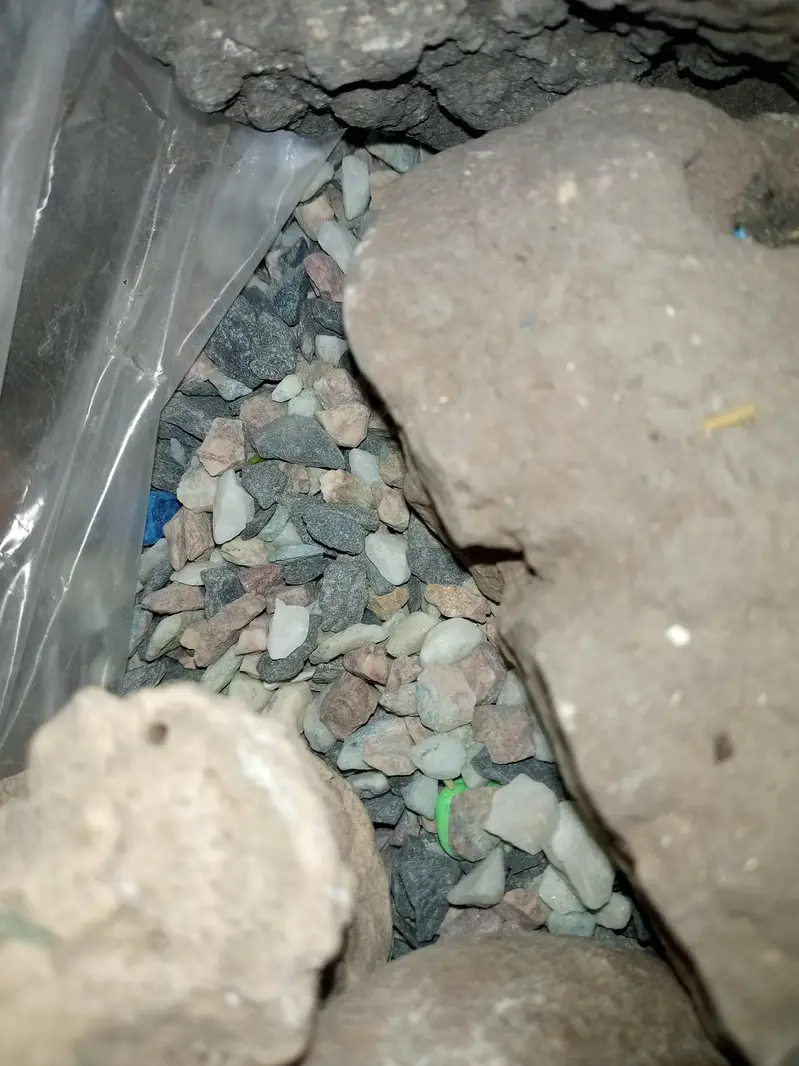 Fish Aquarium - with accessories except top cover — photo 8