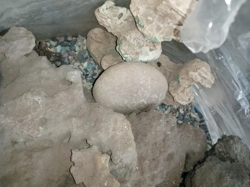 Fish Aquarium - with accessories except top cover — photo 9