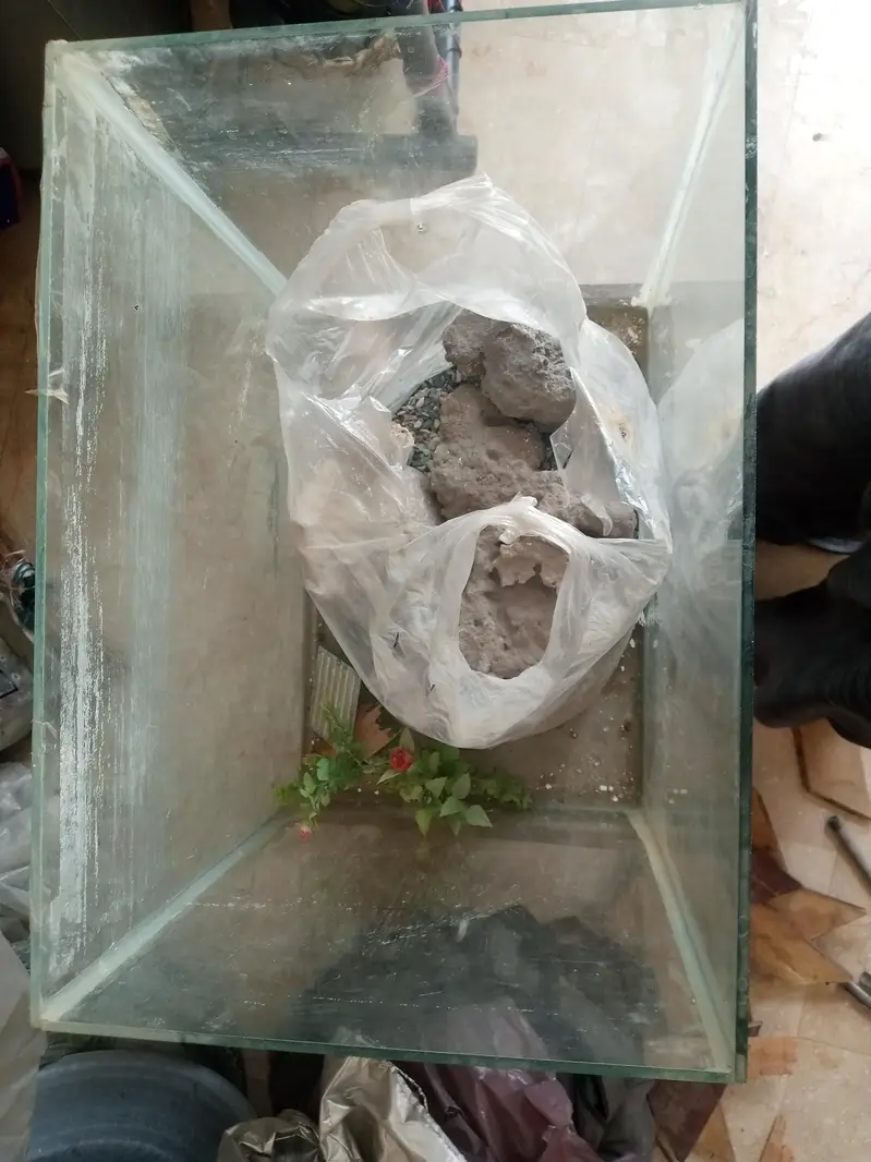 Fish Aquarium - with accessories except top cover — photo 11