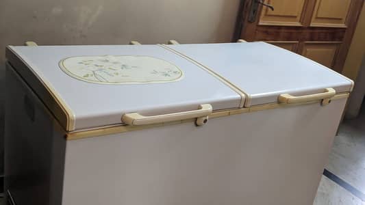 Waves Double Door Deep Freezer (Full Size)