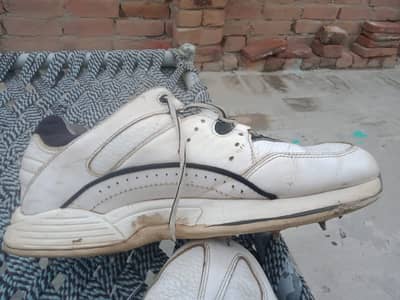 Cricket Spikes