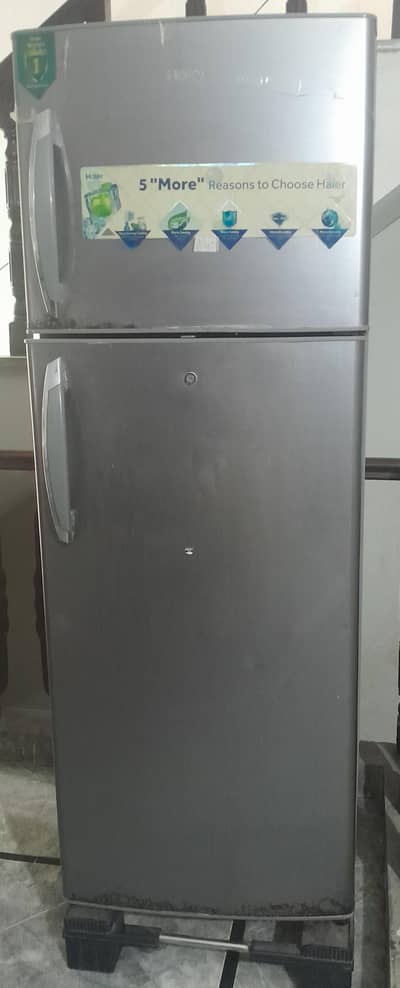 Hair Double Door Refrigerator