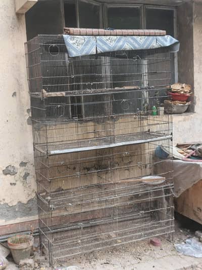 8 portion folding cage budgies