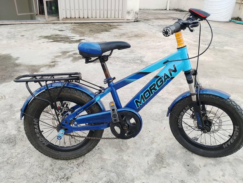 Morgan cycle 0