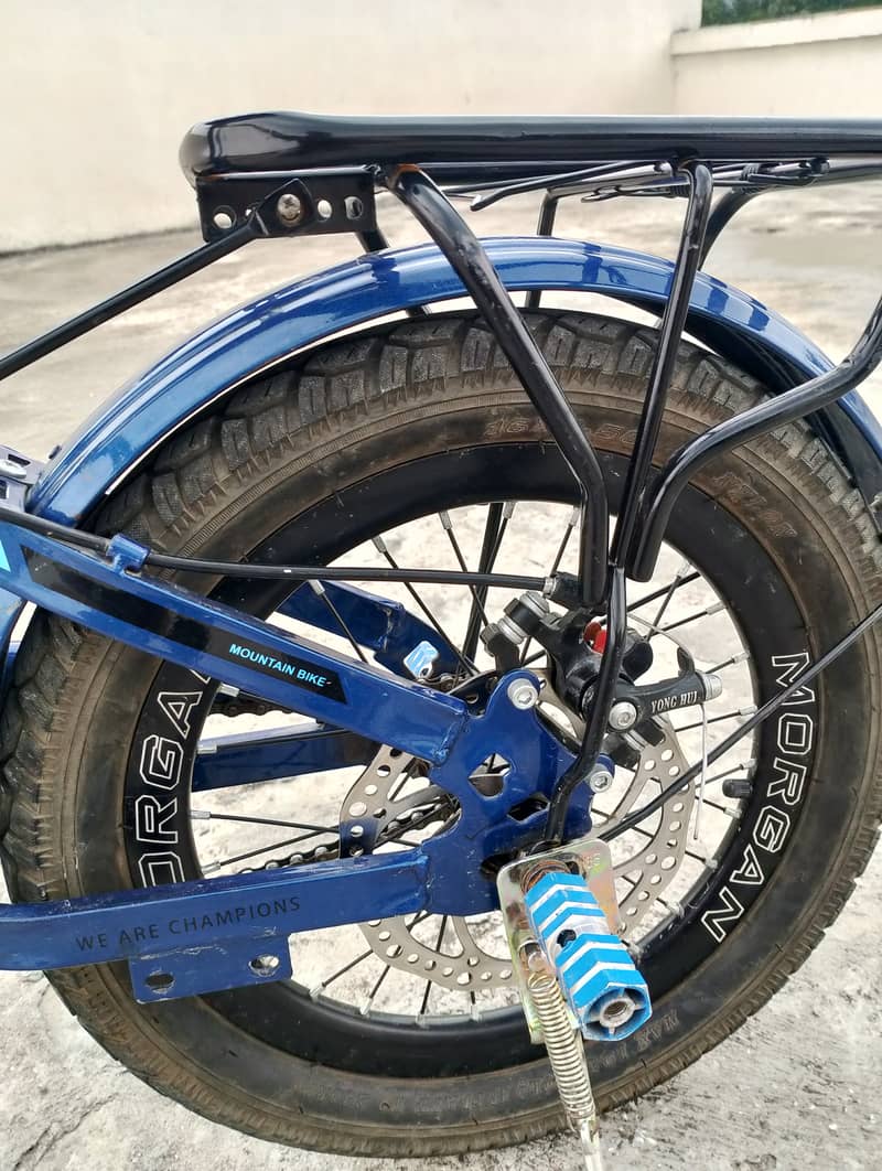 Morgan cycle 4