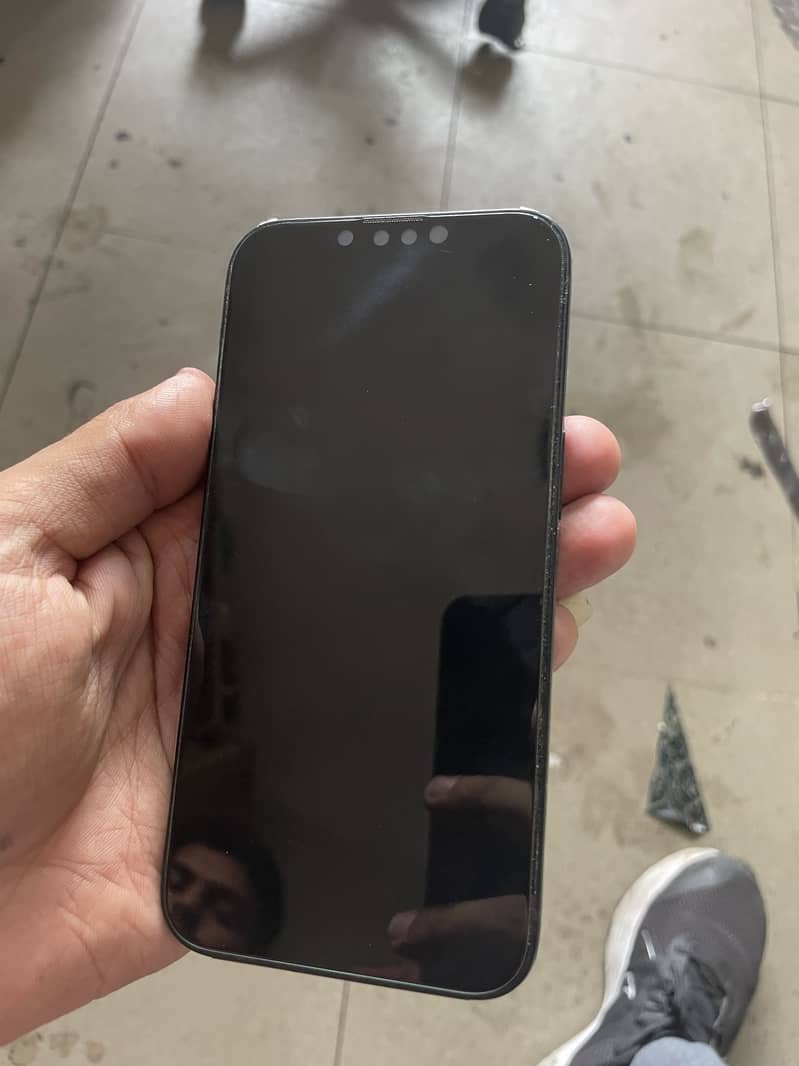 Apple iPhone 13 0