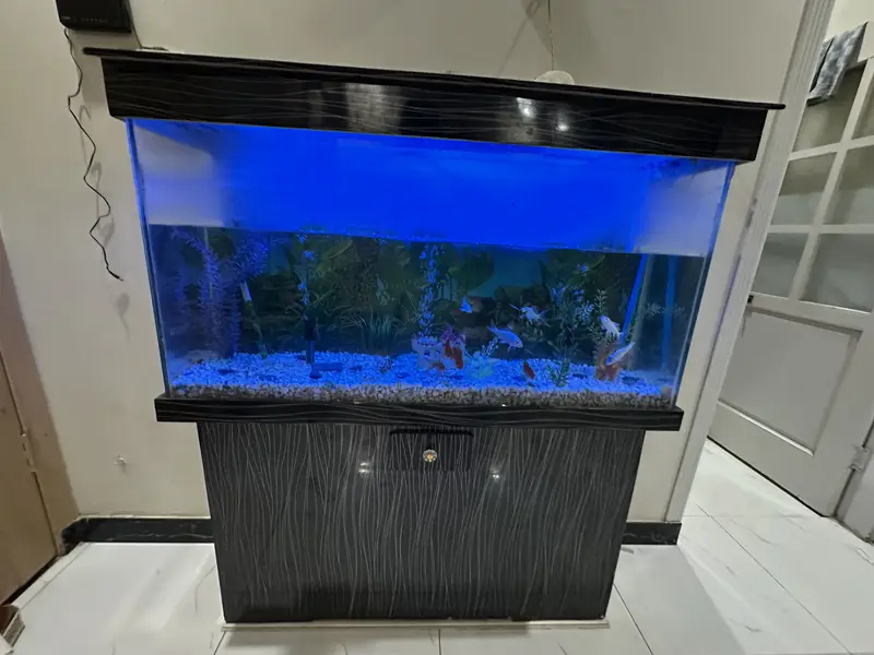 Fish Aquarium 4 Feet with Fishes & Accessories — photo 4
