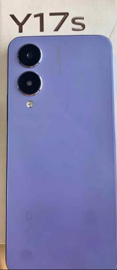 Vivo Y17s