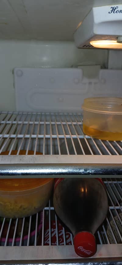 fridge