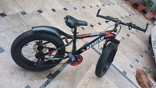KENDAR FAT BICYCLE 20 Inches In Excellent Condition