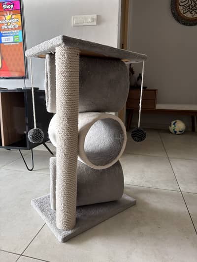Cat scratch post