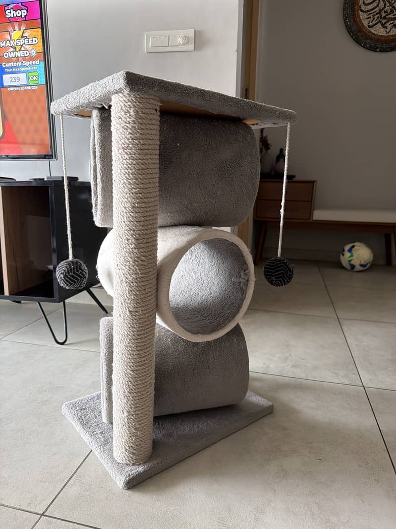 Cat scratch post 0