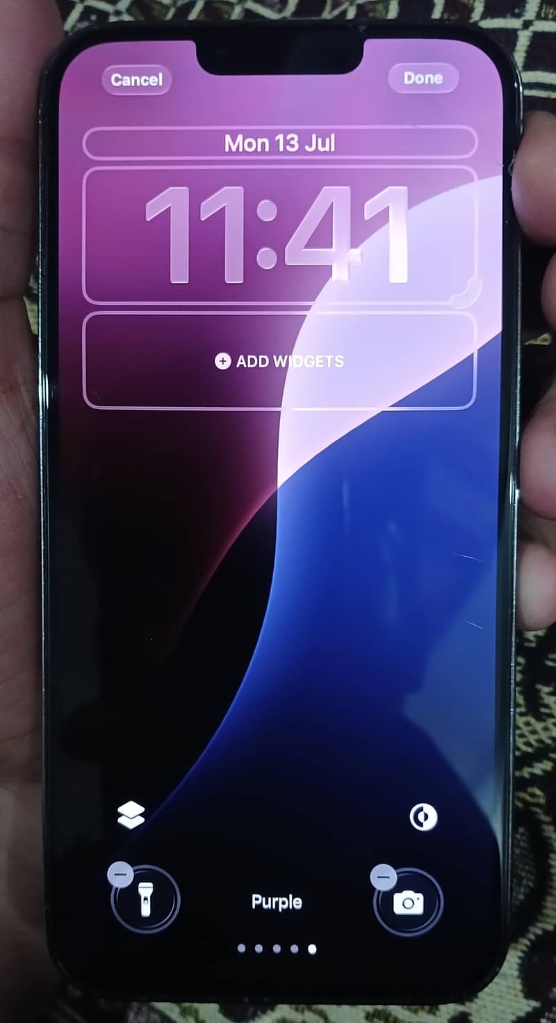 Apple iPhone 13 Pro Max 1