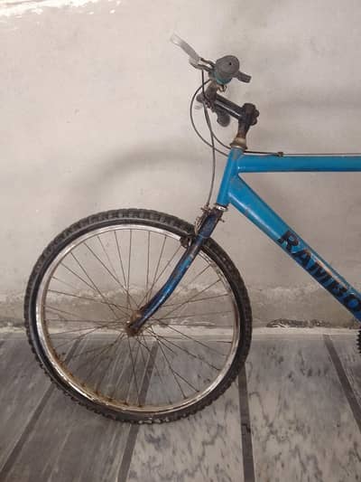 "The bicycle hasn't been used for a long time. "