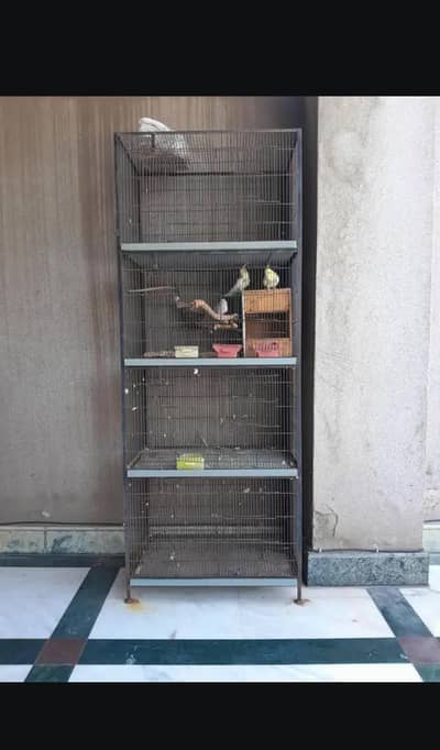 2.5 by 1.5 feet 4 portion parrot cage