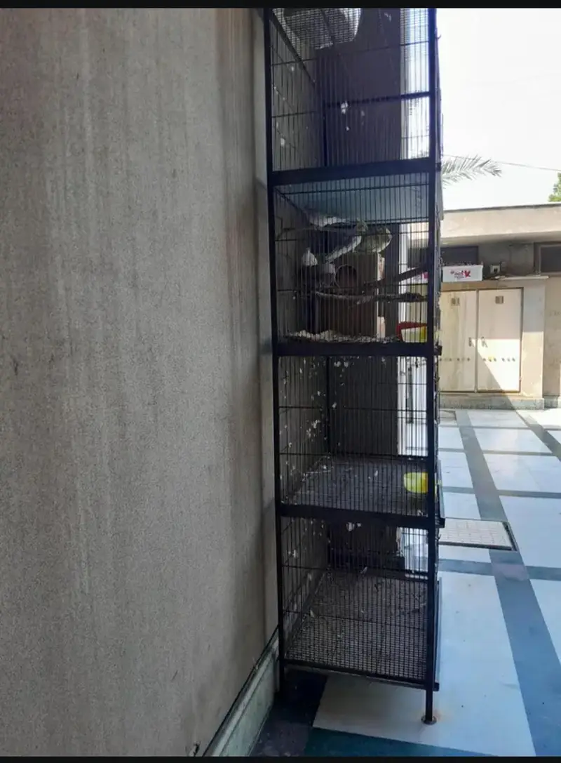 2.5 by 1.5 feet 4 portion parrot cage — photo 2