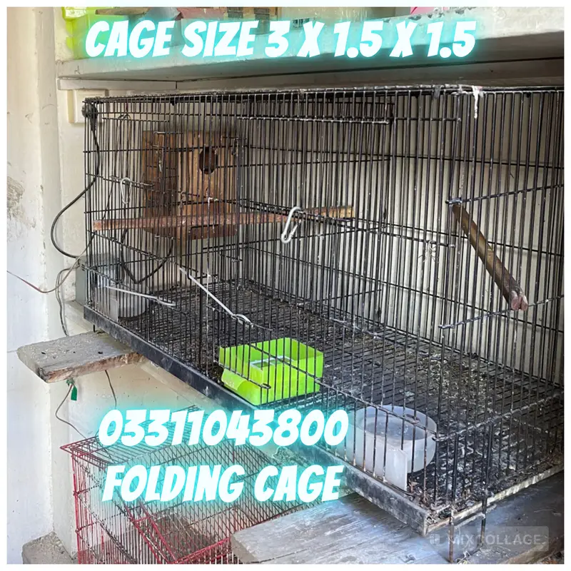 Love Bird Breeding cage, Box, khuja, sead cleaner machine — photo 2